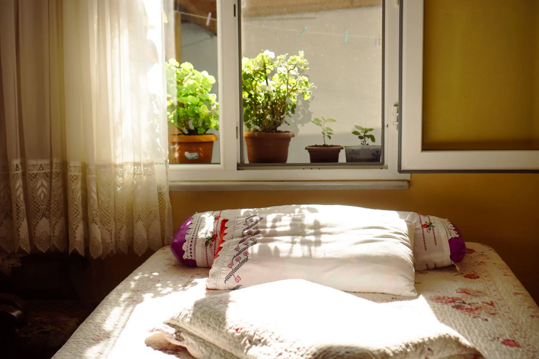 Single bed with embroidered pillows and a folded quilt under an open window, lace curtain and potted plants in the sun