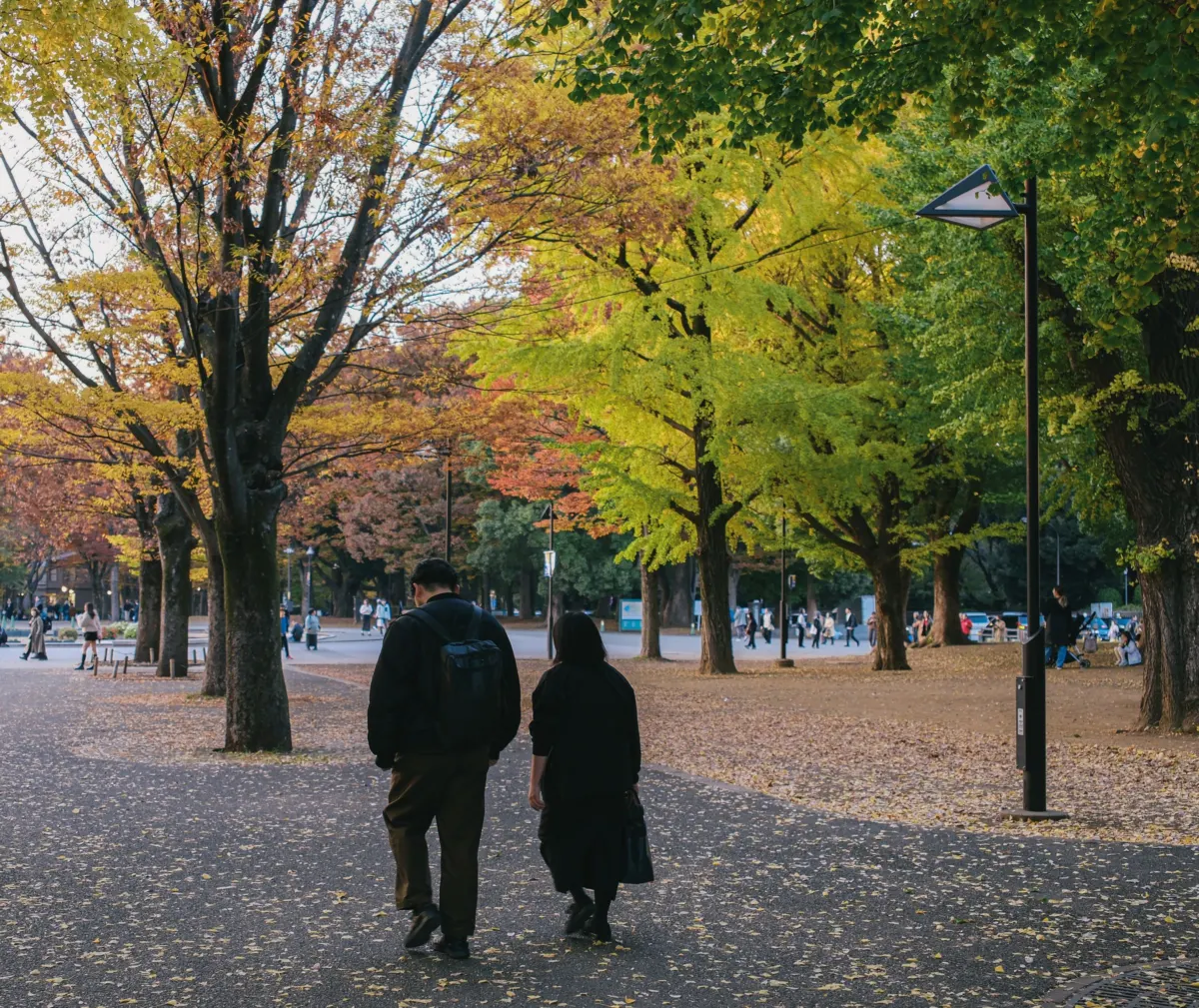Two people in everyday dark coats walk side by side, seen from behind, along a park path under green and yellow autumn trees.
